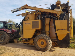 Mașină de recoltare pentru culturi de măslini superintensive, Moresil 25